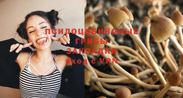 меф Осташков