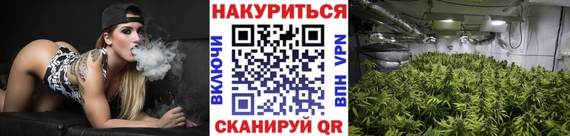 Шишки марихуана White Widow  Куртамыш 